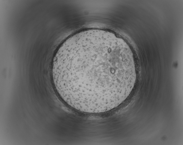 X0000094370529200711242002