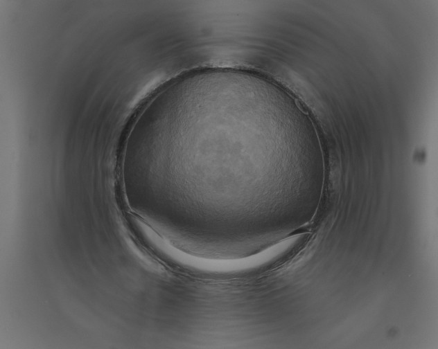 X0000094370530200711242002