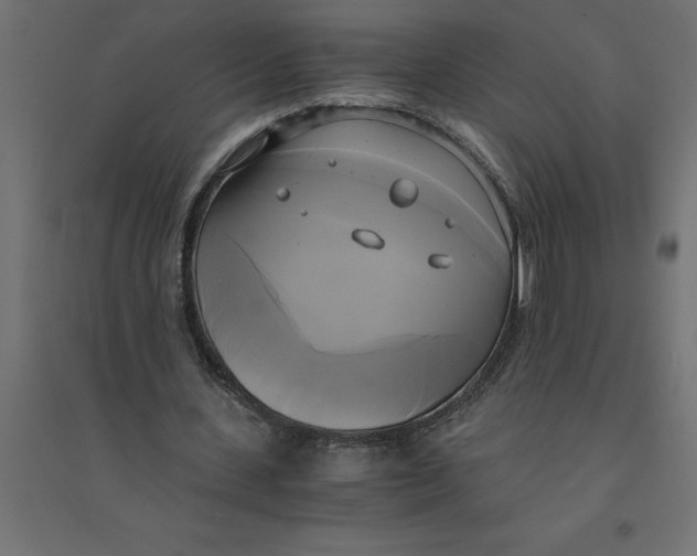 X0000094370531200711242002