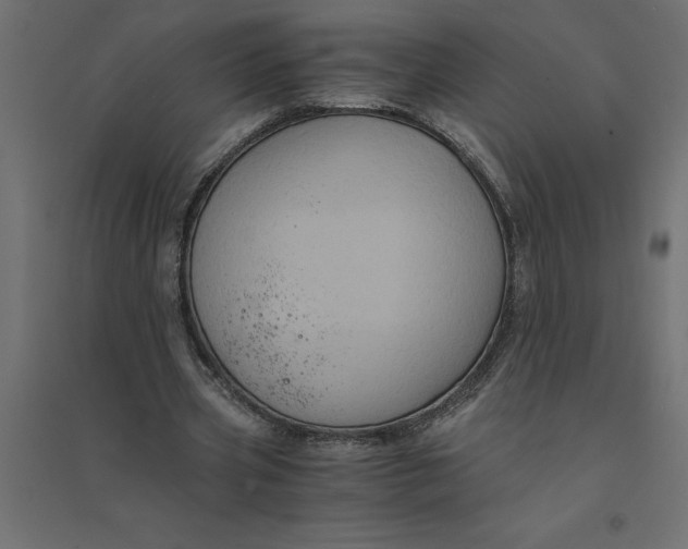 X0000094370533200711242002