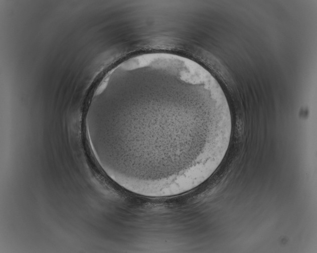 X0000094370534200711242002