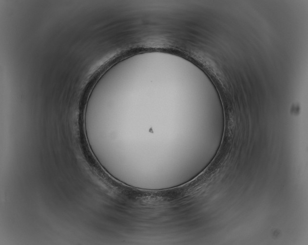 X0000094370535200711242002