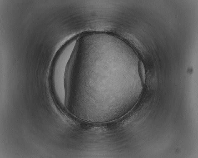 X0000094370536200711242002