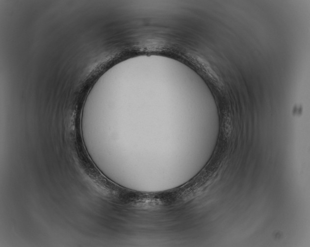 X0000094370543200711242002