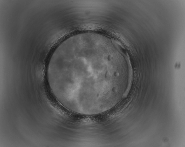 X0000094370544200711242002