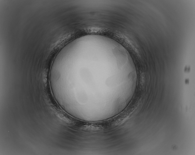 X0000094370545200711242002