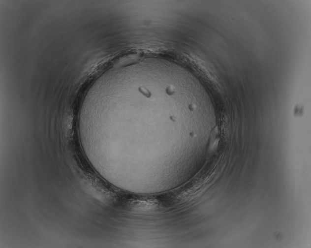 X0000094370548200711242002