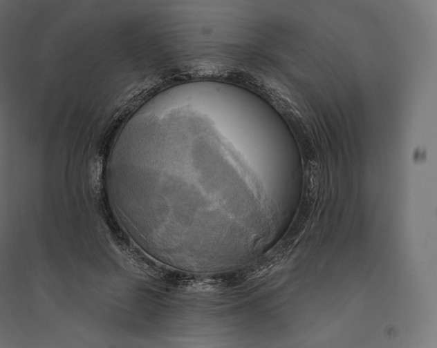 X0000094370550200711242002