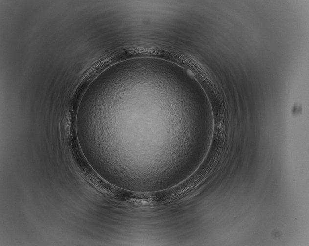 X0000094370552200711242002