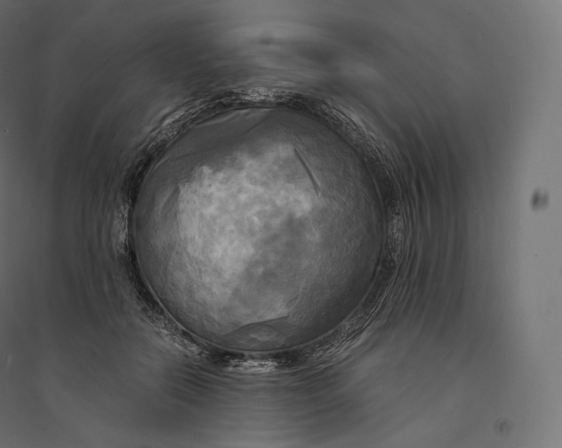 X0000094370554200711242002