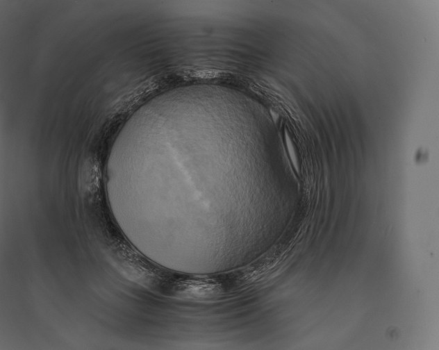 X0000094370555200711242002