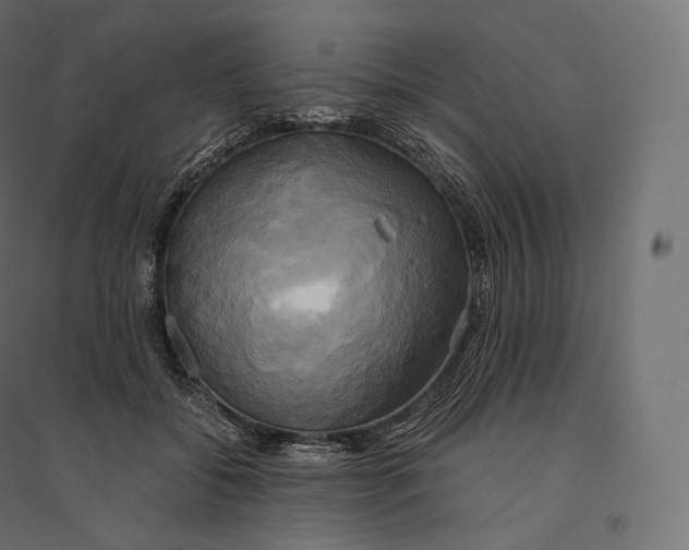 X0000094370556200711242002