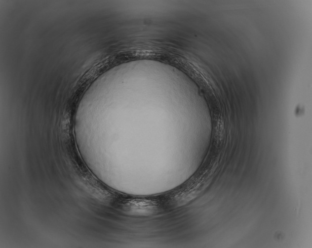 X0000094370557200711242002