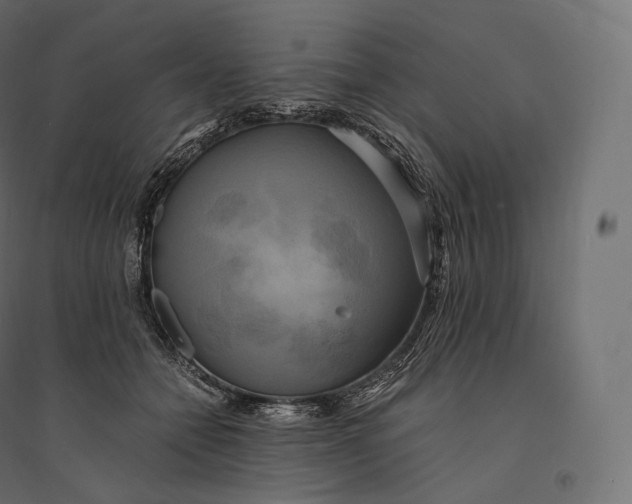 X0000094370558200711242002