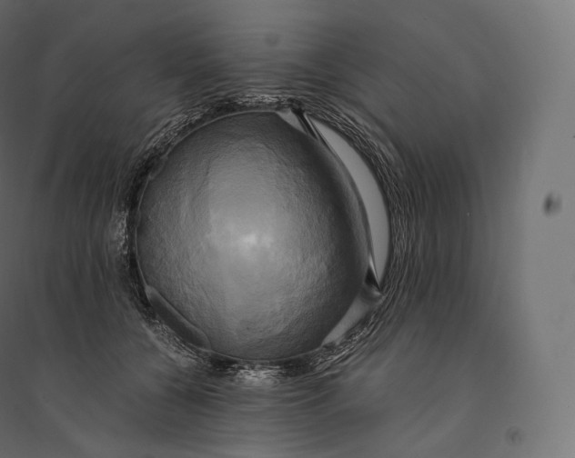 X0000094370560200711242002