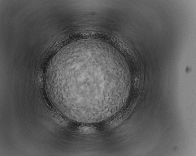 X0000094370561200711242002