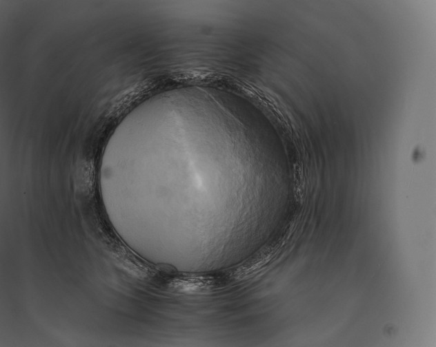 X0000094370563200711242002