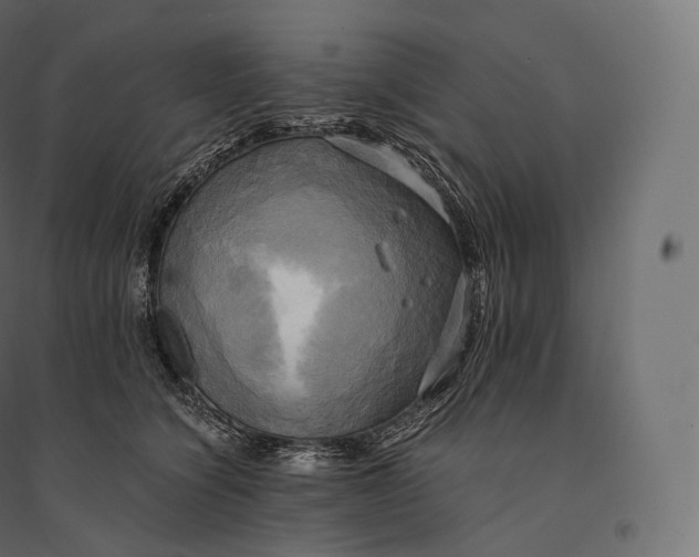 X0000094370564200711242002