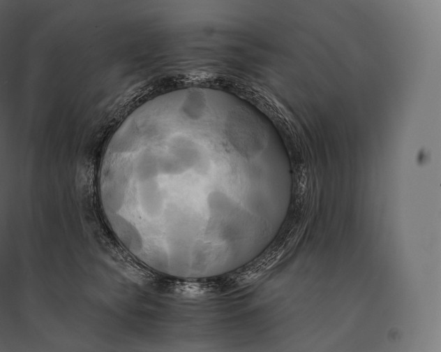 X0000094370565200711242002