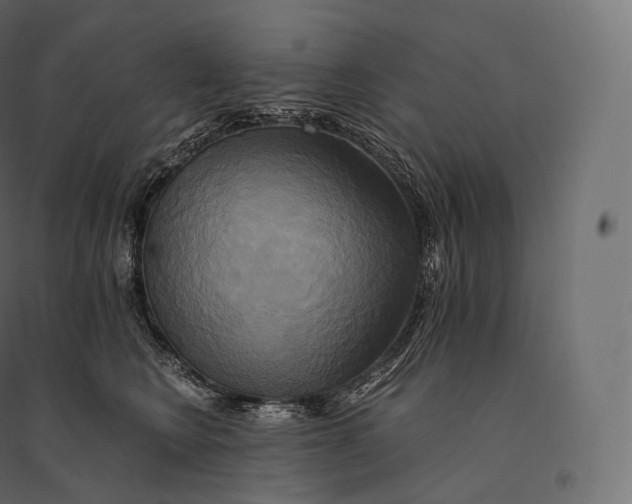 X0000094370566200711242002