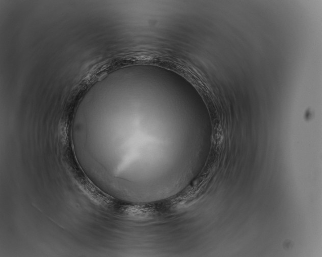 X0000094370568200711242002