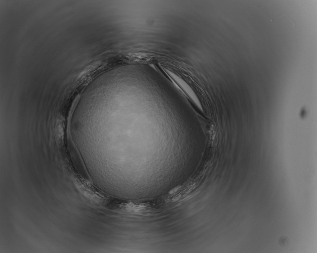 X0000094370570200711242002