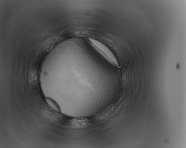 X0000094370571200711242002