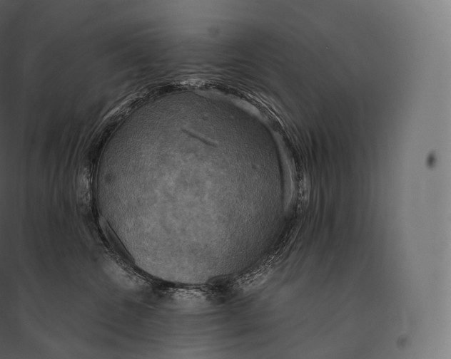 X0000094370572200711242002