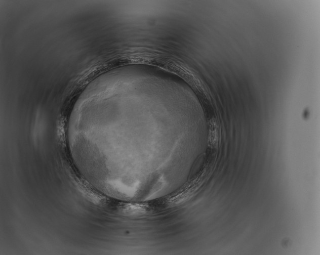 X0000094370573200711242002