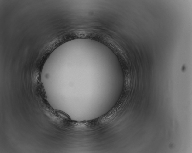 X0000094370574200711242002