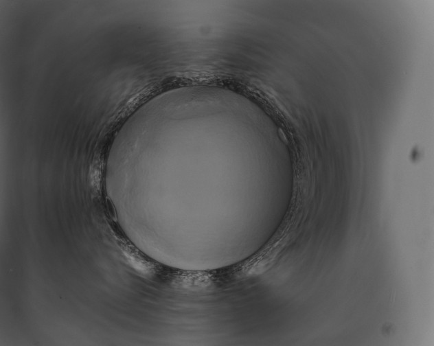 X0000094370576200711242002