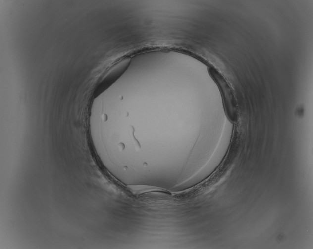 X0000094370577200711242002