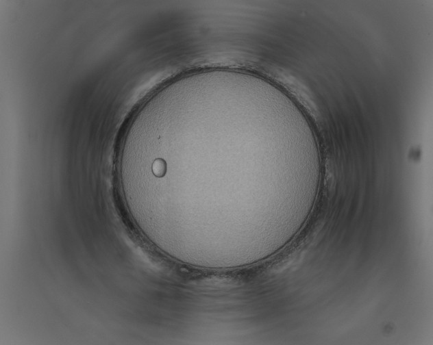 X0000094370578200711242002