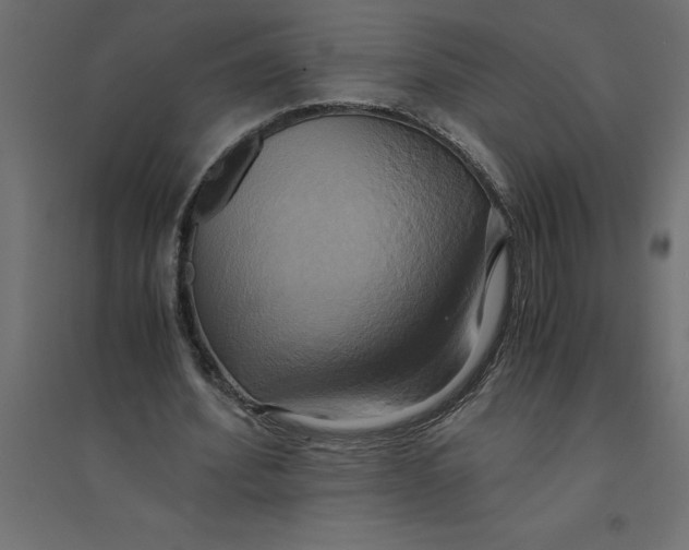 X0000094370580200711242002