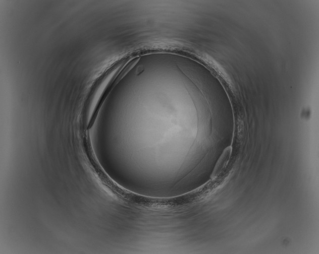 X0000094370581200711242001