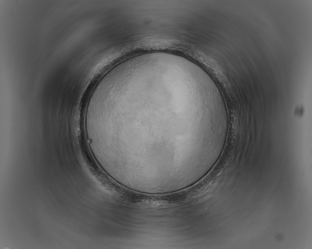 X0000094370582200711242001