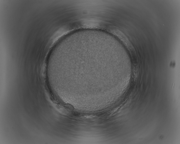 X0000094370583200711242001