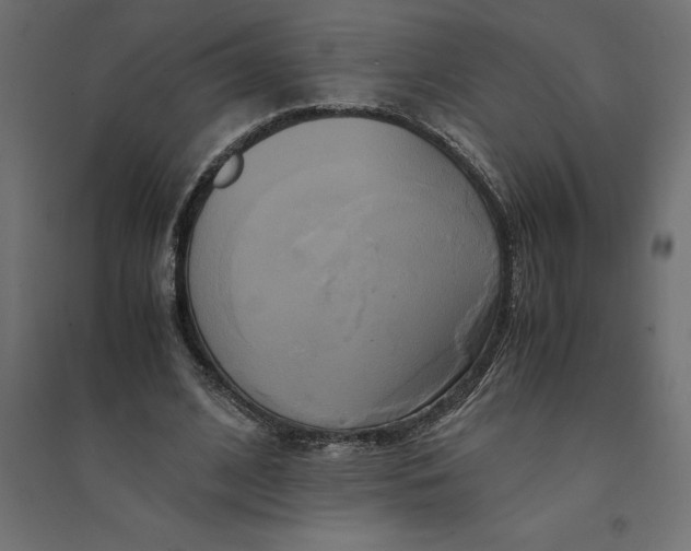 X0000094370584200711242001