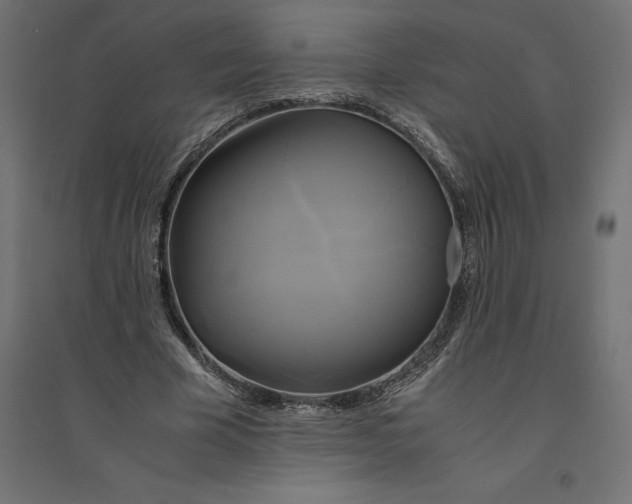 X0000094370585200711242001