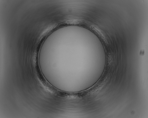 X0000094370586200711242001