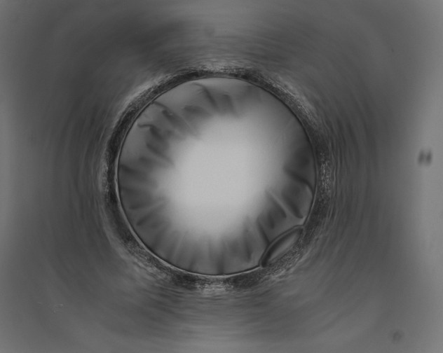 X0000094370587200711242001