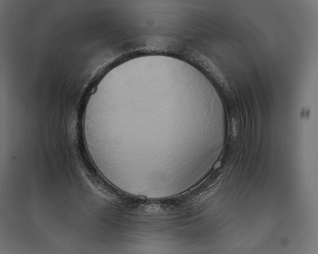 X0000094370588200711242001