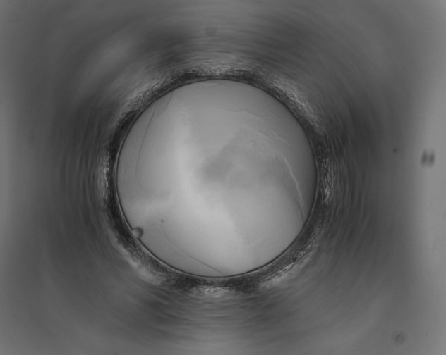 X0000094370590200711242001