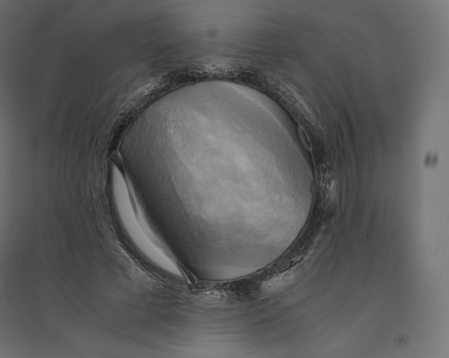 X0000094370593200711242001