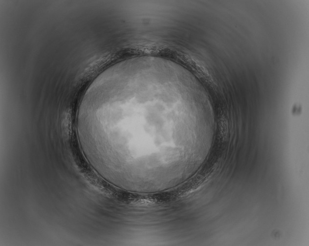 X0000094370594200711242001