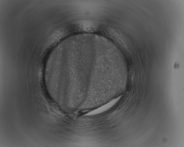 X0000094370595200711242001