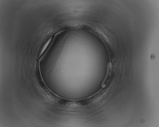 X0000094370597200711242001