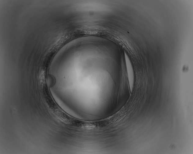 X0000094370598200711242001