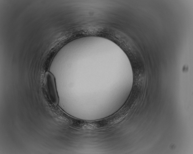 X0000094370599200711242001