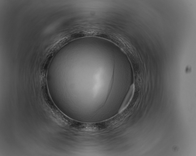 X0000094370601200711242001